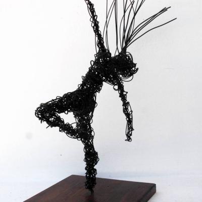 011escultura En Alambre